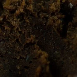 Sticky Baits Bloodworm Paste 8 Sticky Baits Bloodworm Paste -Outdoor life go 314345 d