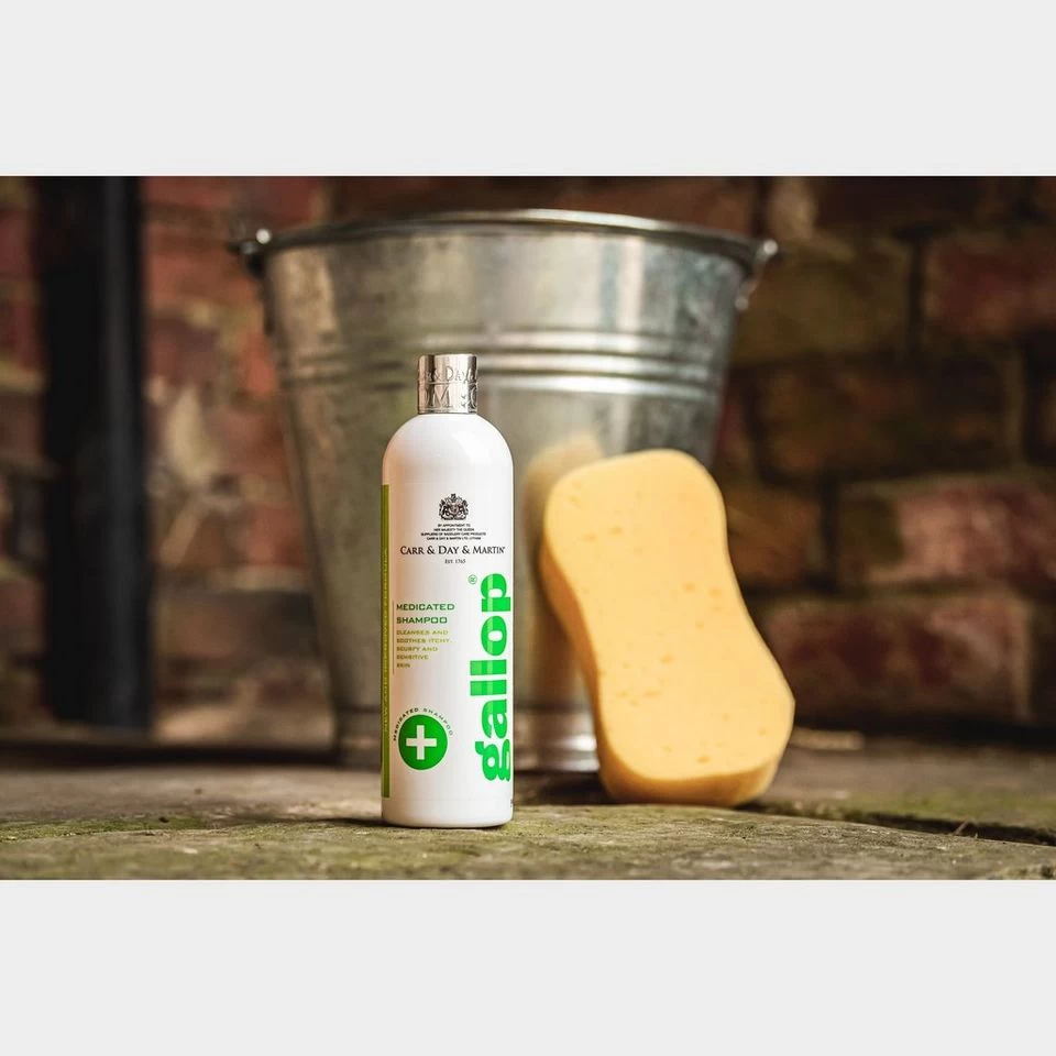 Medicated Shampoo (500ml) 2 Medicated Shampoo (500ml) - Image 2