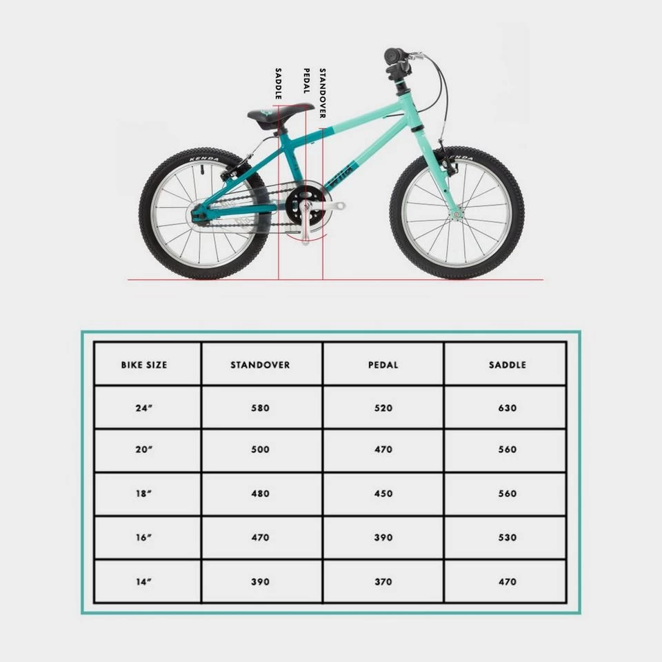 Wild 24 Kids' Bike 12 Wild 24 Kids' Bike - Image 12