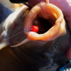 Sonu Band'um Sinkers Fluoro 10mm 12 Sonu Band'um Sinkers Fluoro 10mm -Outdoor life go 438667 e