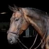 Ready-To-Ride Snaffle Flash Bridle