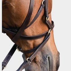 Rambo Micklem Multibridle -Outdoor life go 477660 c