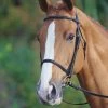 Raised Cavesson Bridle