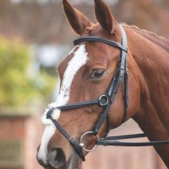 Mexican Bridle -Outdoor life go 477855 z