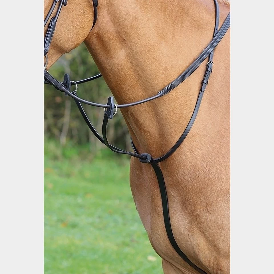Running Martingale 1 Running Martingale