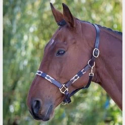 Leather Polo Headcollar -Outdoor life go 477919 b
