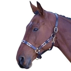 Leather Polo Headcollar -Outdoor life go 477919 z