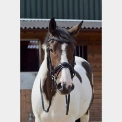 Dressage Flash Bridle Black -Outdoor life go 477991 d