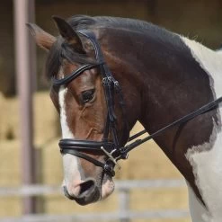 Dressage Flash Bridle Black -Outdoor life go 477991 e