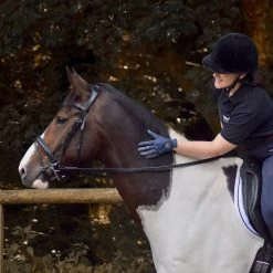 Dressage Flash Bridle Black -Outdoor life go 477991 g