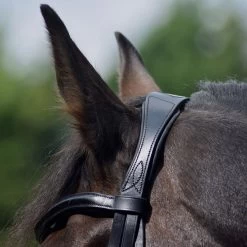 Dressage Flash Bridle Black -Outdoor life go 477991 i