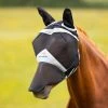 Fly Mask
