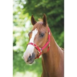 Nylon Headcollar Red -Outdoor life go 478389 z