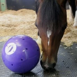 Snak-A-Ball -Outdoor life go 478433 c