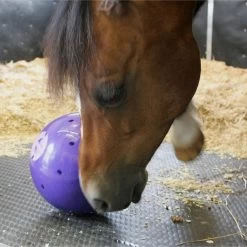 Snak-A-Ball -Outdoor life go 478433 d