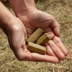 Spearmint Treats -Outdoor life go 478456 c