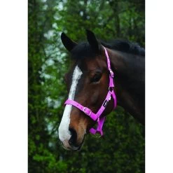 Saxon Economy Headcollar -Outdoor life go 479468 z