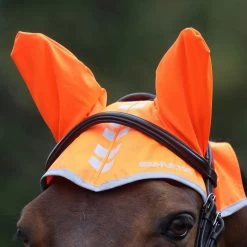 Fly Veil -Outdoor life go 517251 z