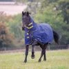 Tempest Original 300g Heavyweight Combo Neck Turnout Rug