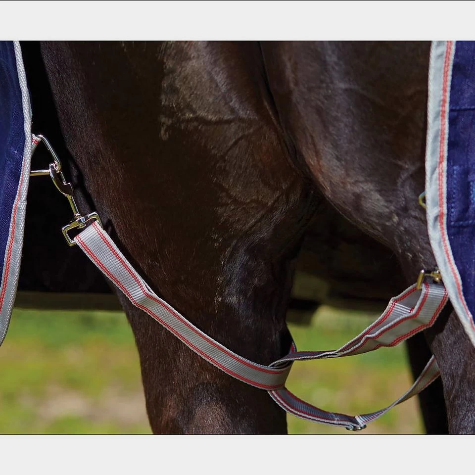 Weatherbeeta ComFiTec Essential 220g Medium Weight Combo Neck Turnout Rug 7 Weatherbeeta ComFiTec Essential 220g Medium Weight Combo Neck Turnout Rug - Image 7
