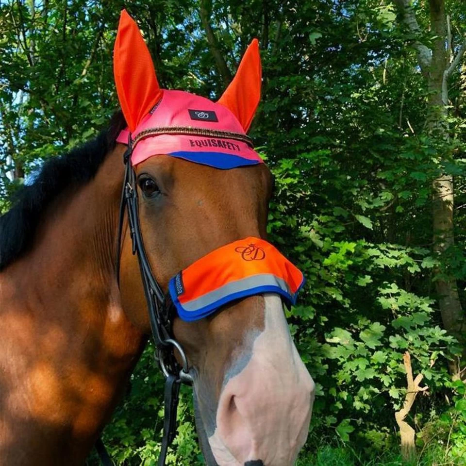 Charlotte Dujardin Multi-Coloured Nose Band Pink/Orange 2 Charlotte Dujardin Multi-Coloured Nose Band Pink/Orange - Image 2