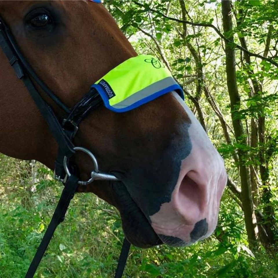 Charlotte Dujardin Multi-Coloured Nose Band Pink/Yellow 2 Charlotte Dujardin Multi-Coloured Nose Band Pink/Yellow - Image 2