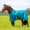 Tempest Original 50 Turnout Rug