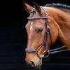 Salisbury Brampton Bridle