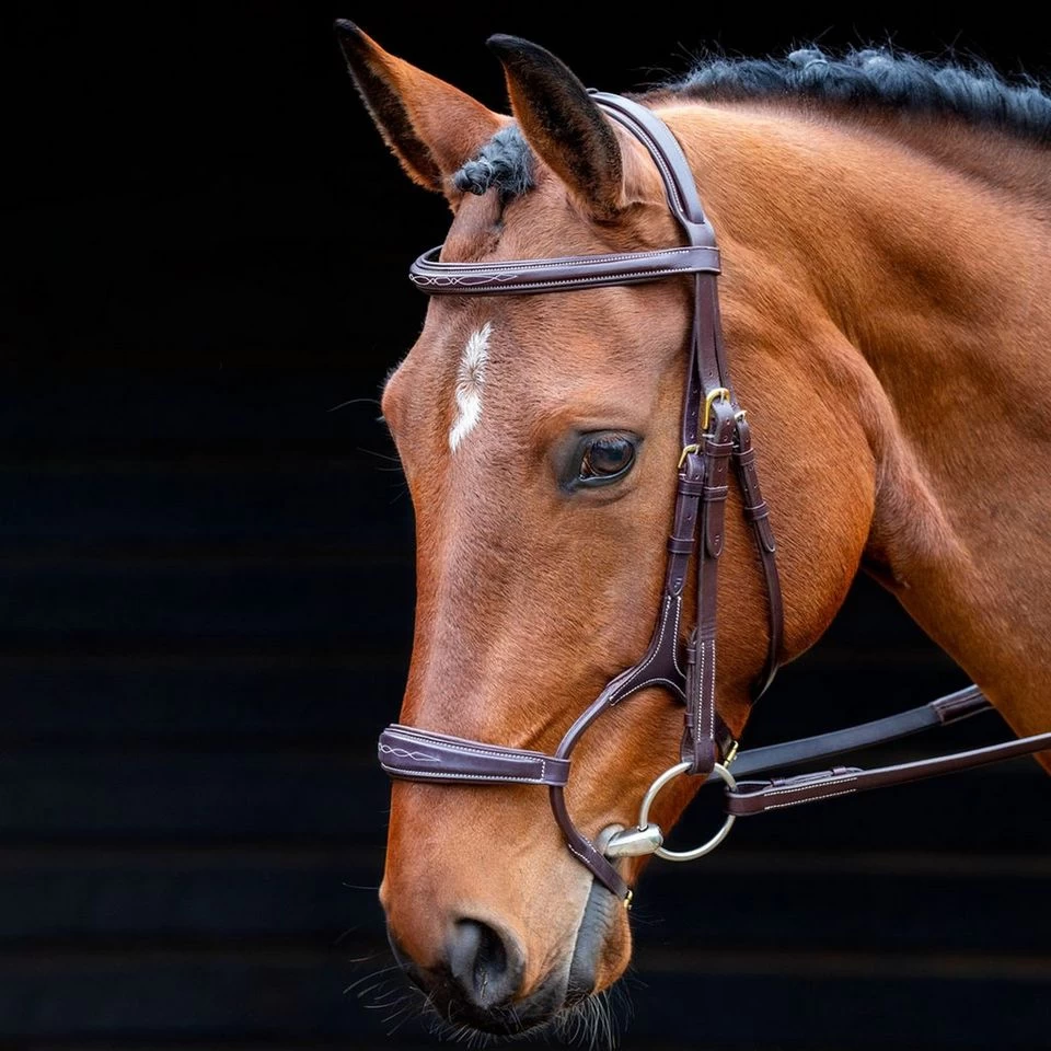 Salisbury Brampton Bridle 2 Salisbury Brampton Bridle - Image 2