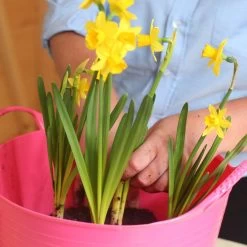 Gorilla Flexible Tub (Small) -Outdoor life go 622630 c